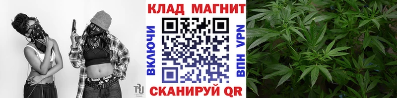 Цена Светогорск МАРИХУАНА МЕГА как зайти СОЛЬ Галлюциногенные грибы МЕФ КОКАИН