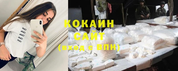 стафф Арсеньев
