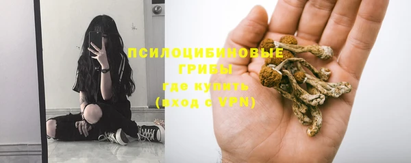 стафф Арсеньев