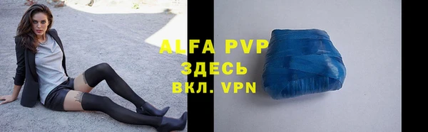 стафф Арсеньев