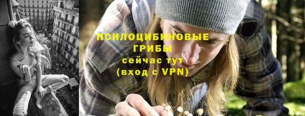 стафф Арсеньев