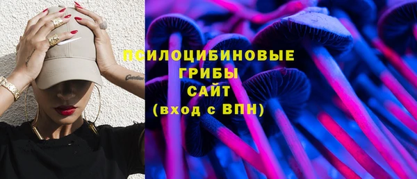 СК Покровск