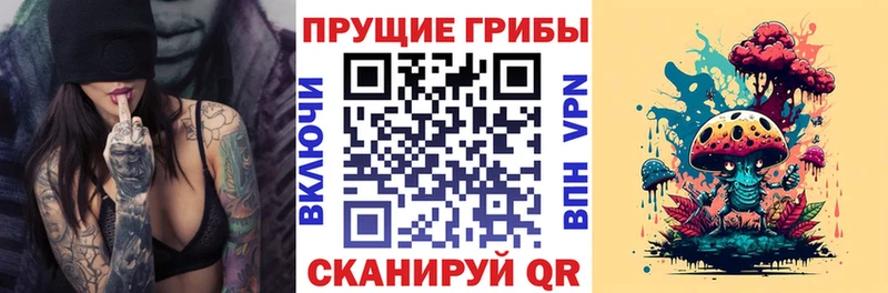 hydra зеркало  Светогорск  Псилоцибиновые грибы GOLDEN TEACHER 